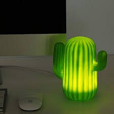 Kaktusová lampa k počítači  